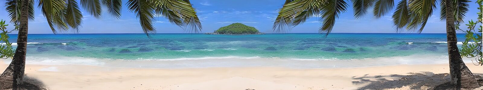 TPES26767: Playa entre palmeras y aguas turquesas
