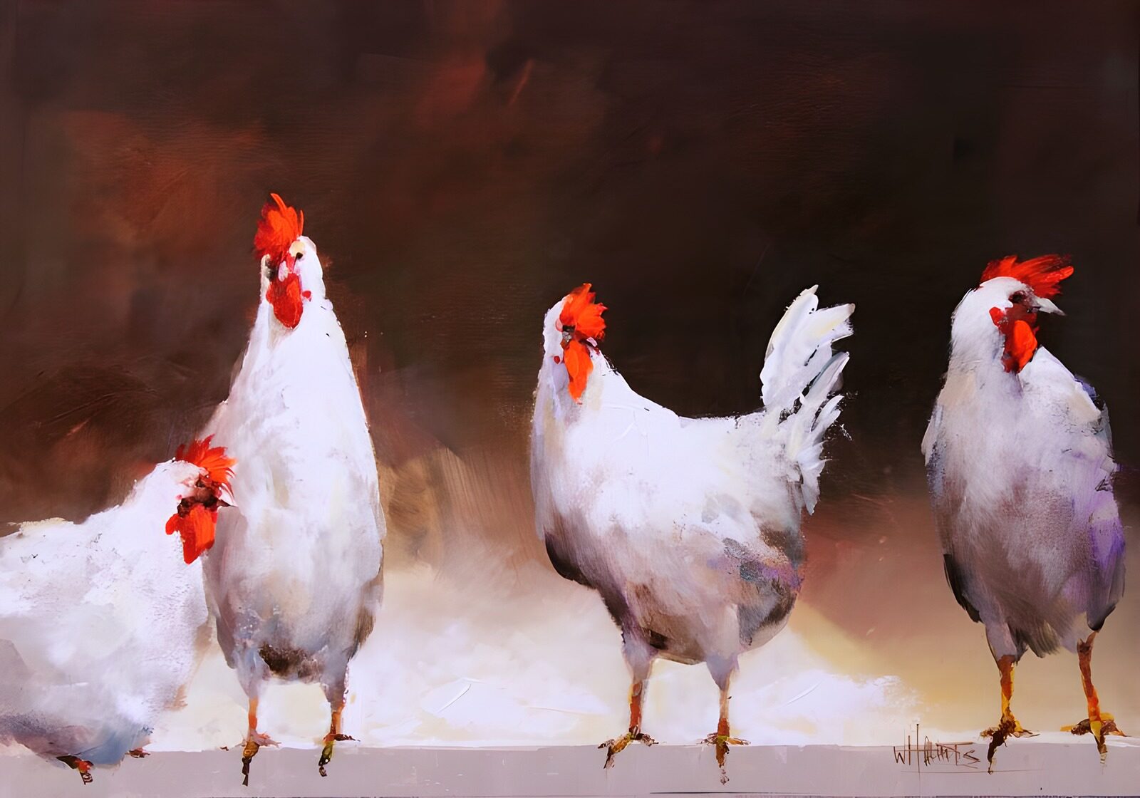 TPES22247: Cuatro gallinas blancas sobre fondo oscuro