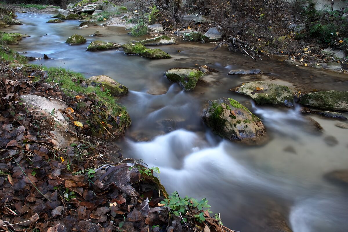 TPES67048: Arroyo entre rocas y hojas caídas