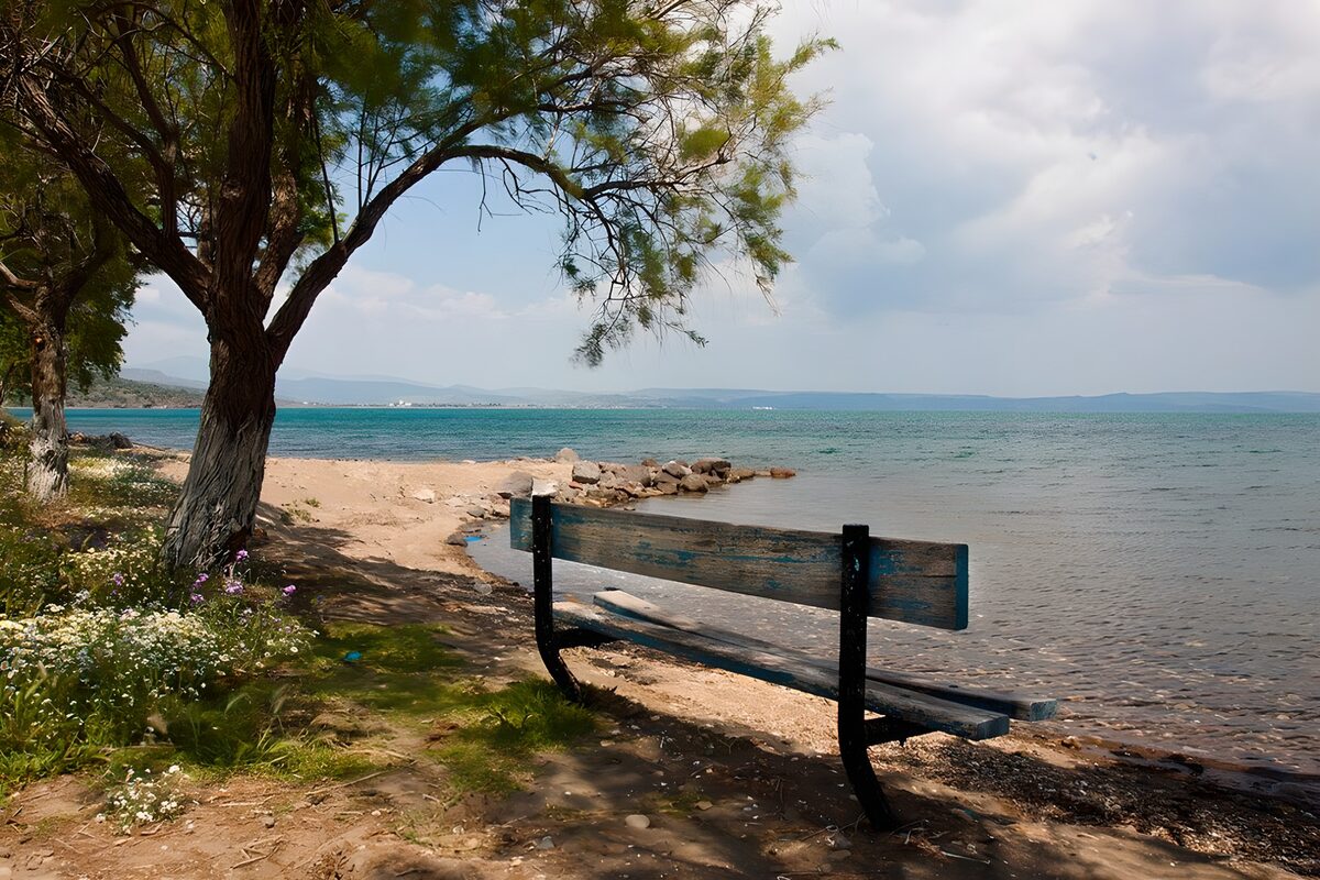 Banco de madera junto al mar en calma