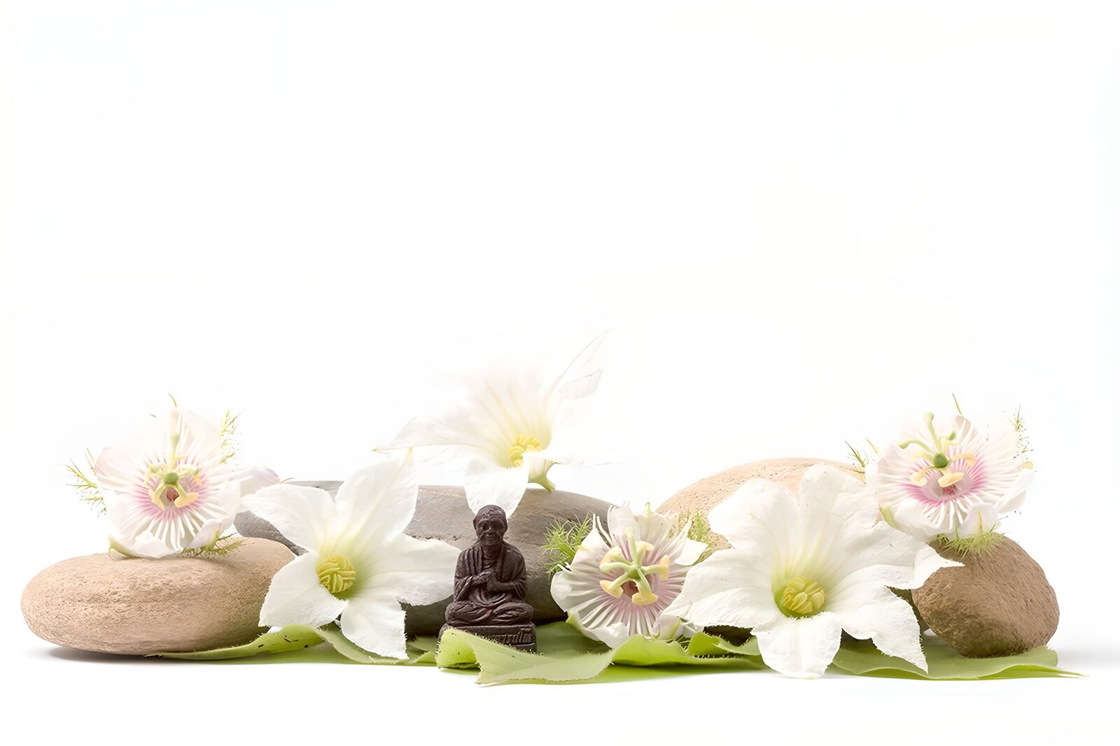 TPES94034: Buda, flores blancas y piedras en calma