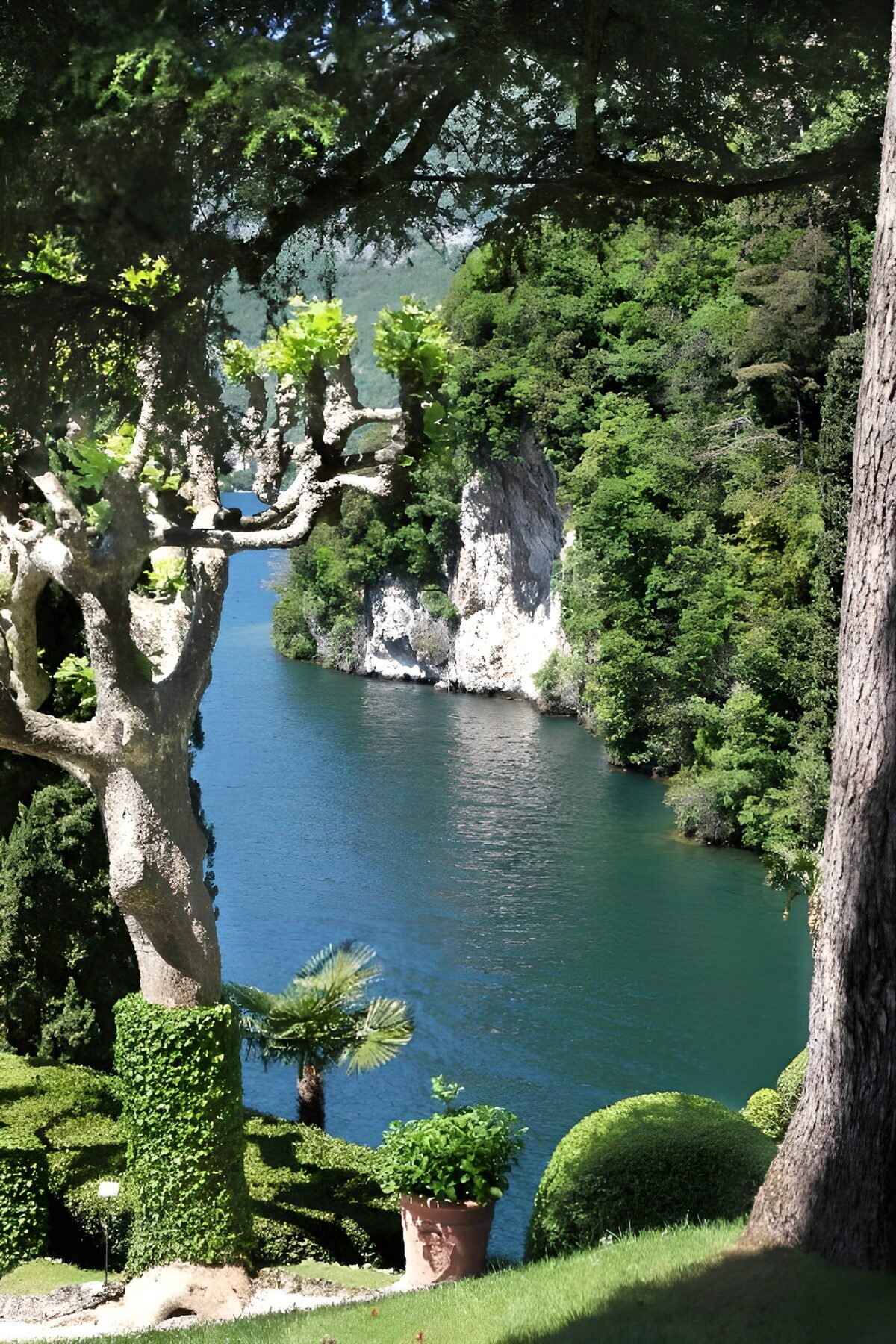 Jardín con vistas al agua y los acantilados