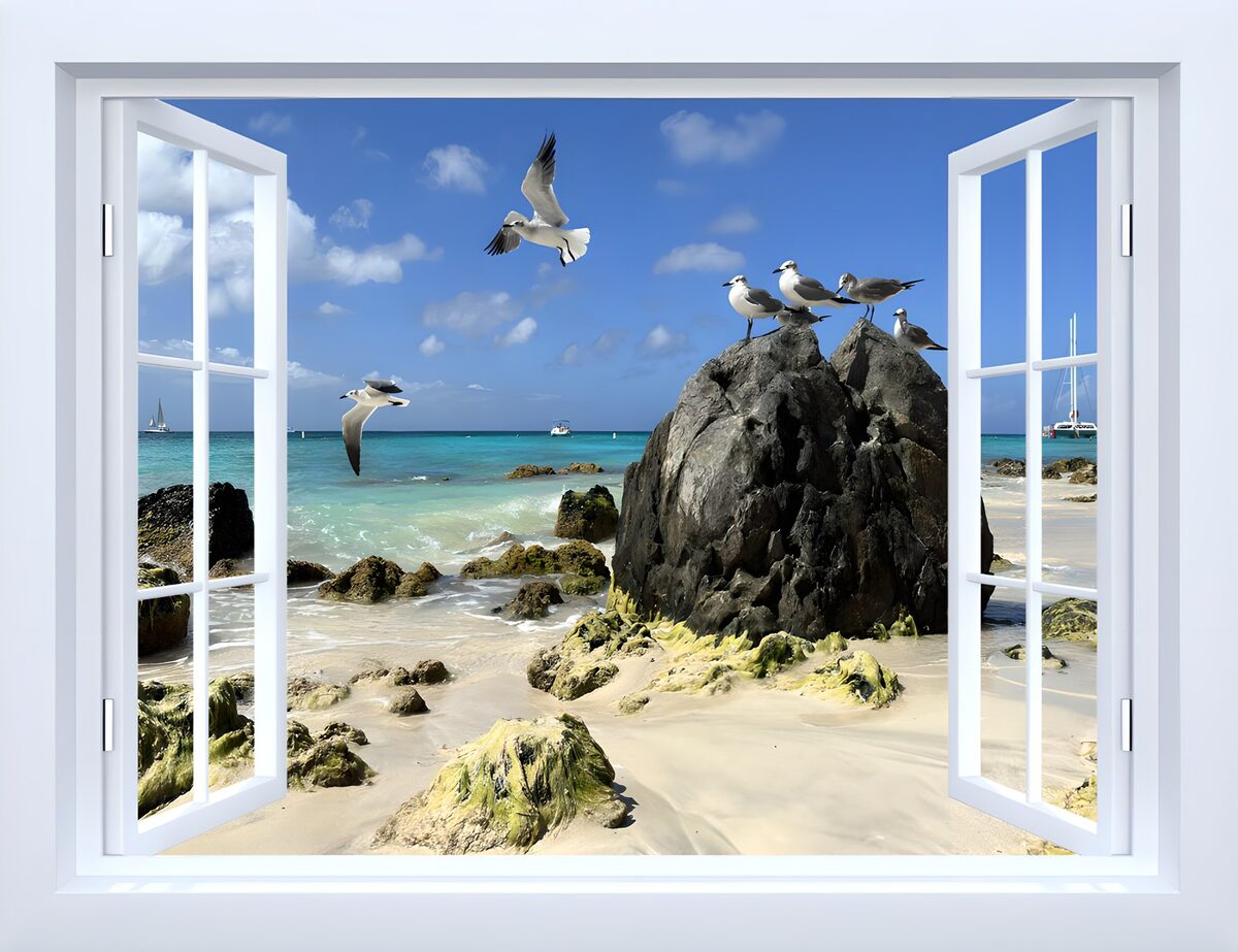 Ventana abierta al mar y las gaviotas