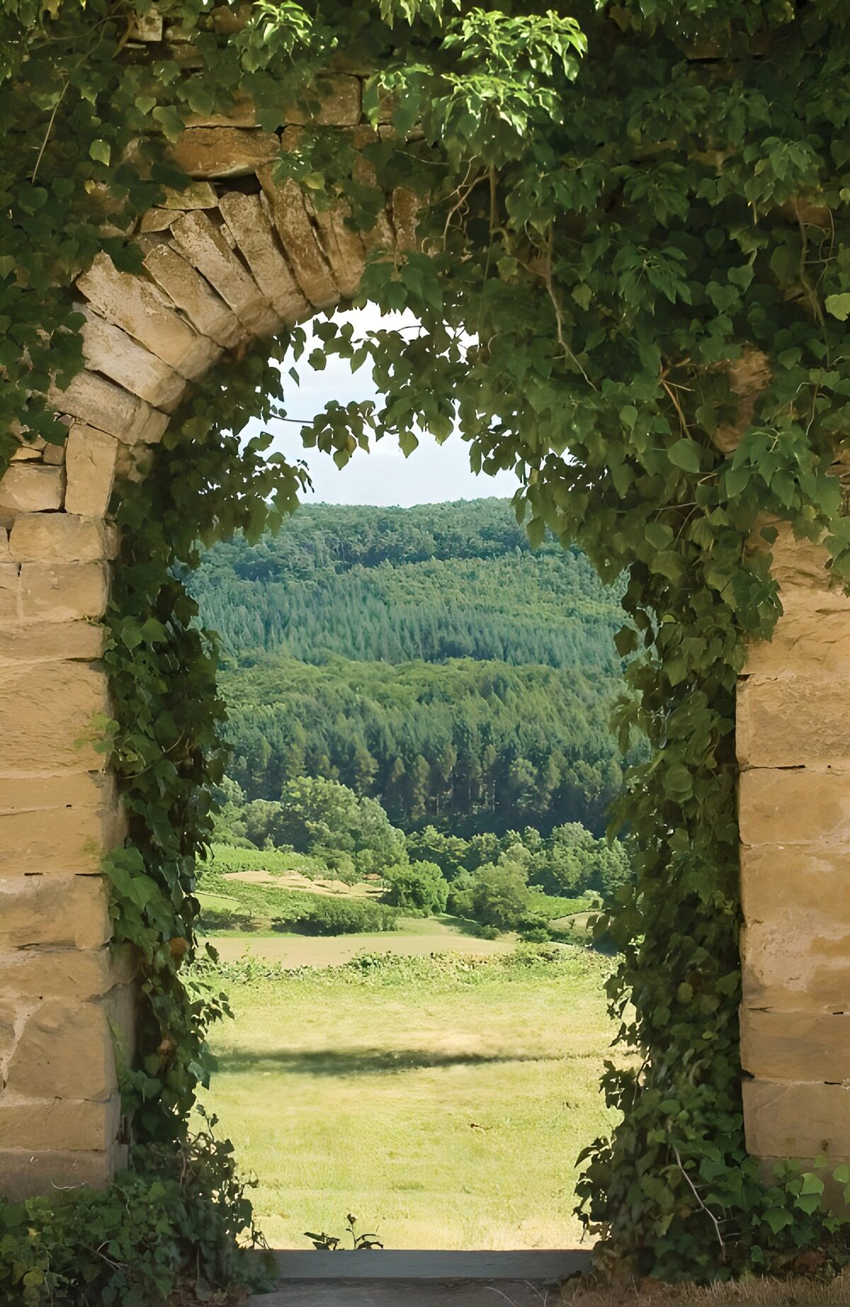 Arco de piedra hacia una pradera al sol