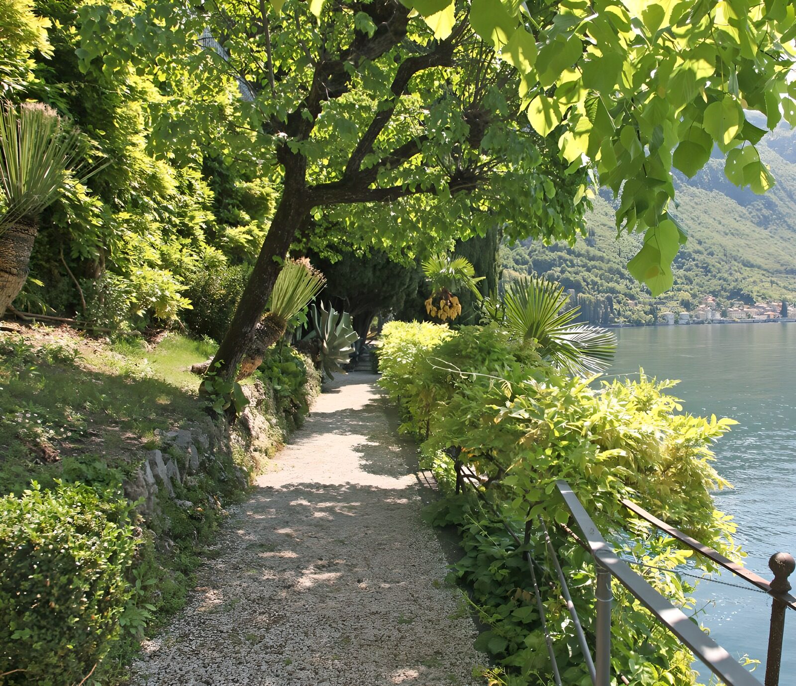 TPES90744: Sendero entre jardines junto al lago