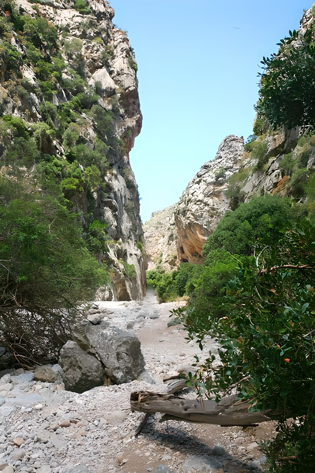 TPES14833: Sendero de grava entre paredes de roca