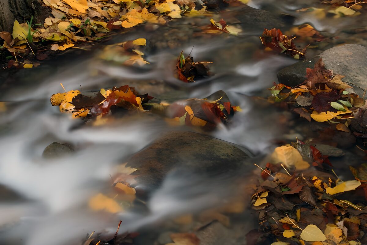 Arroyo de otoño entre rocas, sin prisas