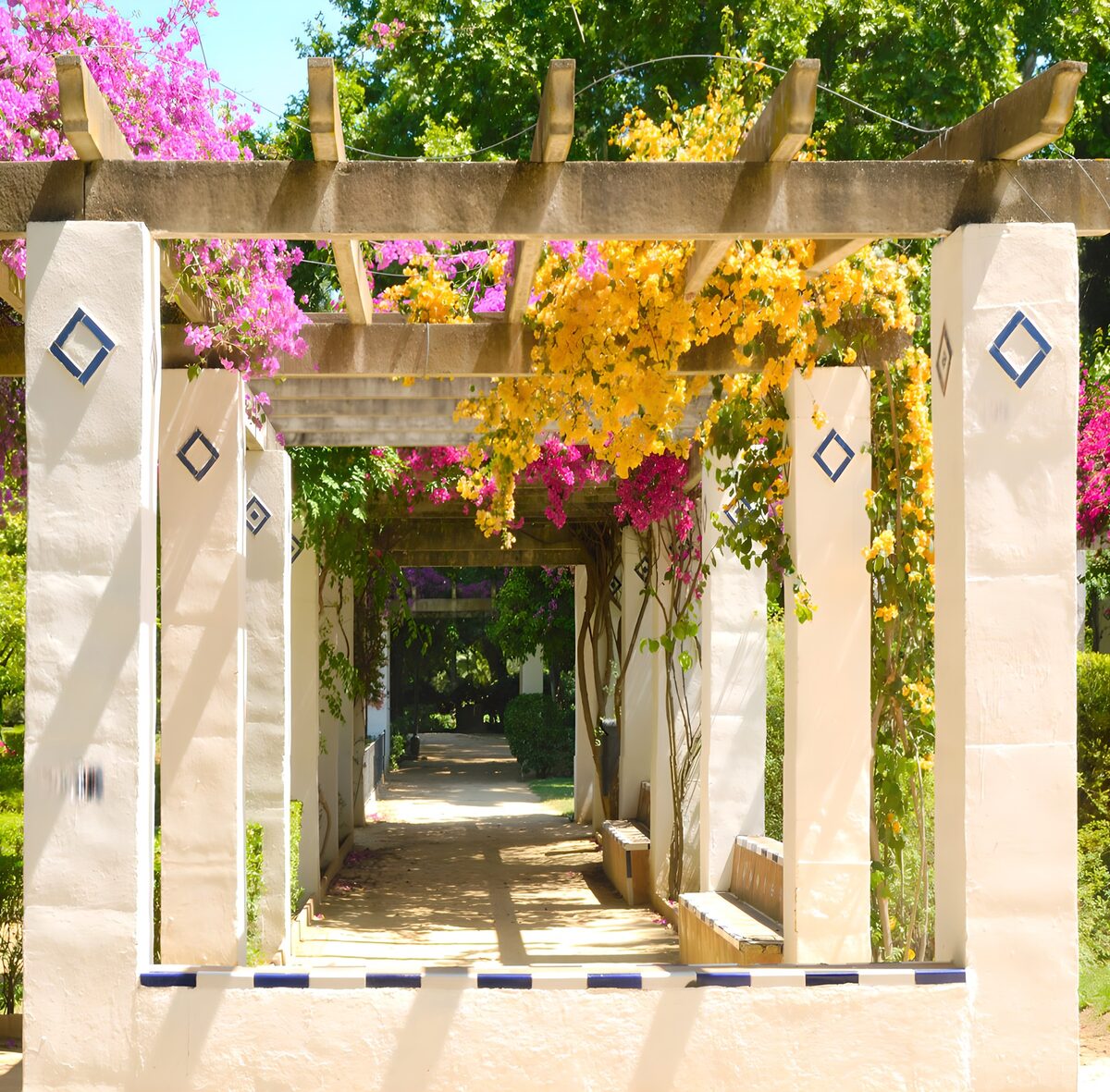 Pérgola florida a pleno sol