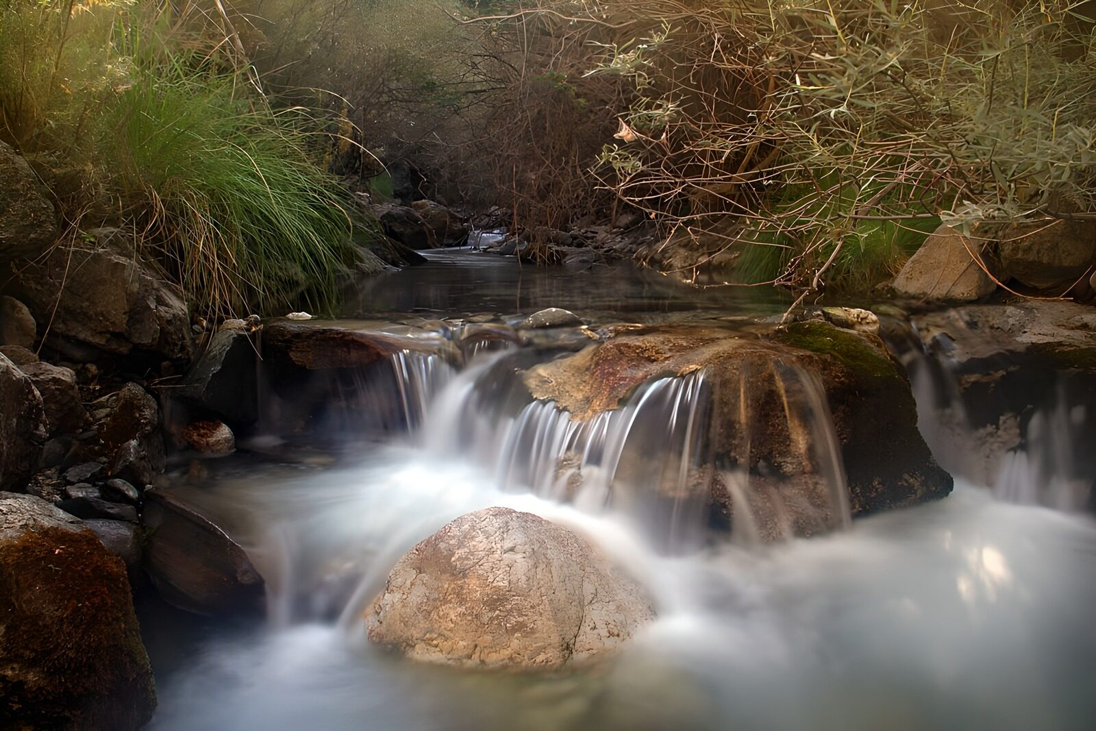 TPES74222: Arroyo y cascadas entre la espesura