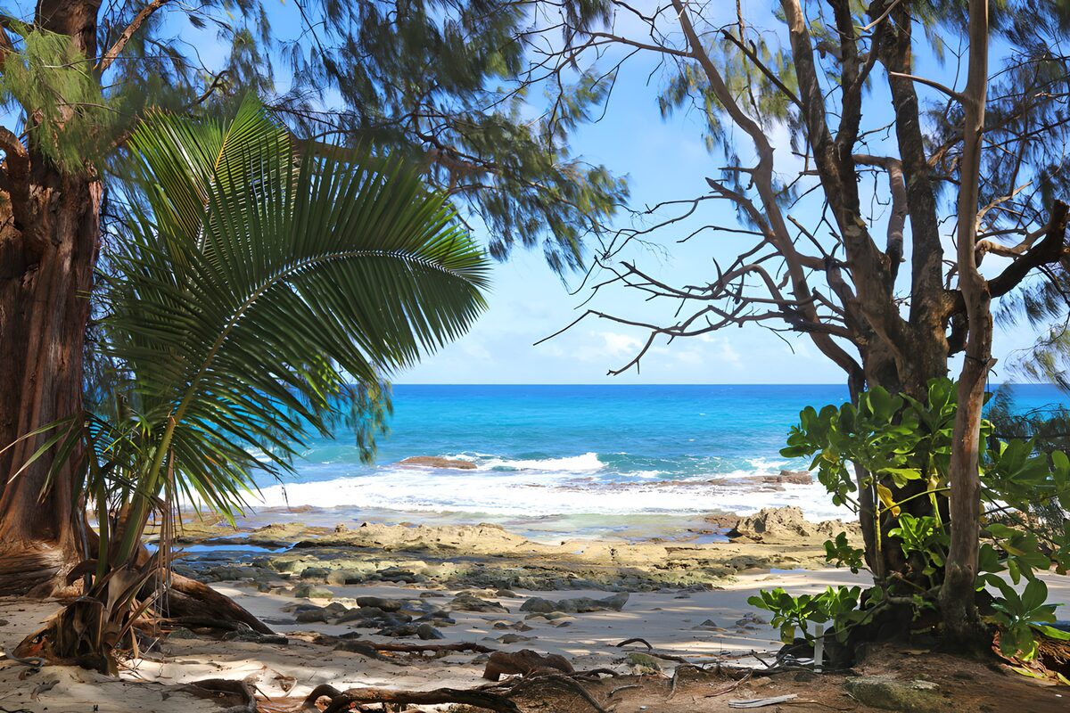 TPES73397: Playa tropical entre palmeras y rocas