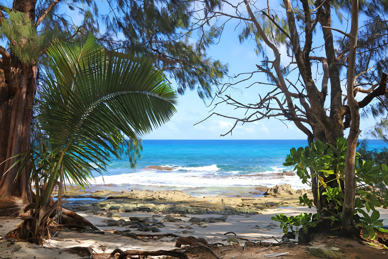 TPES73397: Playa tropical entre palmeras y rocas