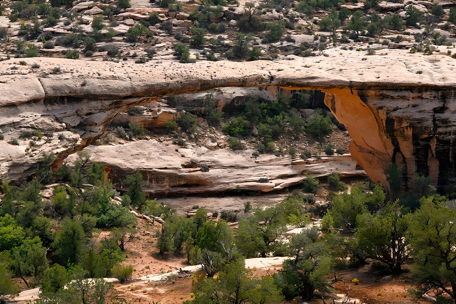 TPES88406: Arco de roca sobre un barranco soleado