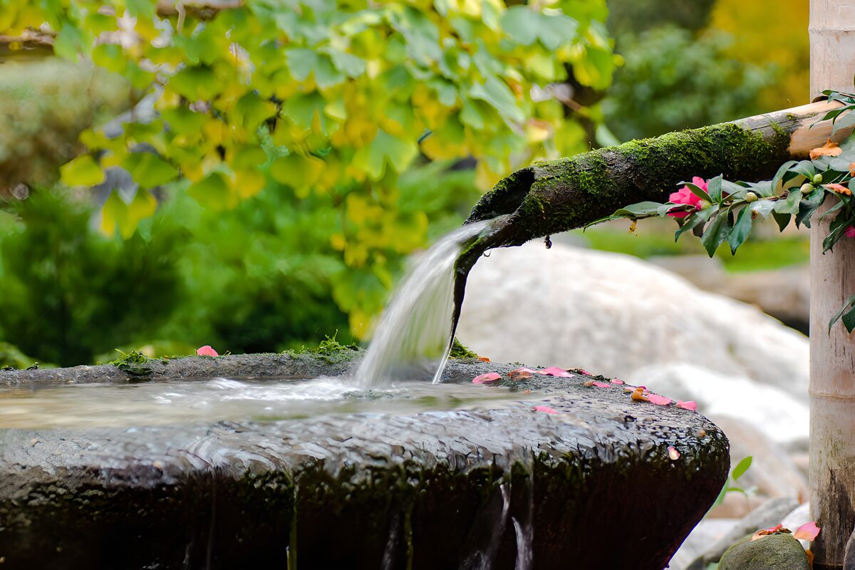 Fuente de piedra entre musgo y flores