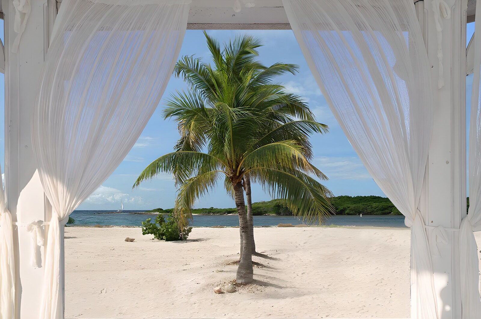 TPES45567: Palmera y playa entre cortinas blancas