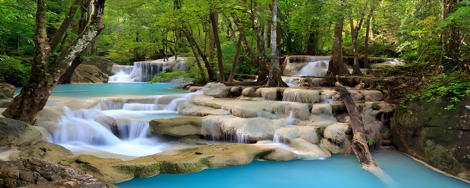 TPES32721: El bosque baja en cascadas de turquesa