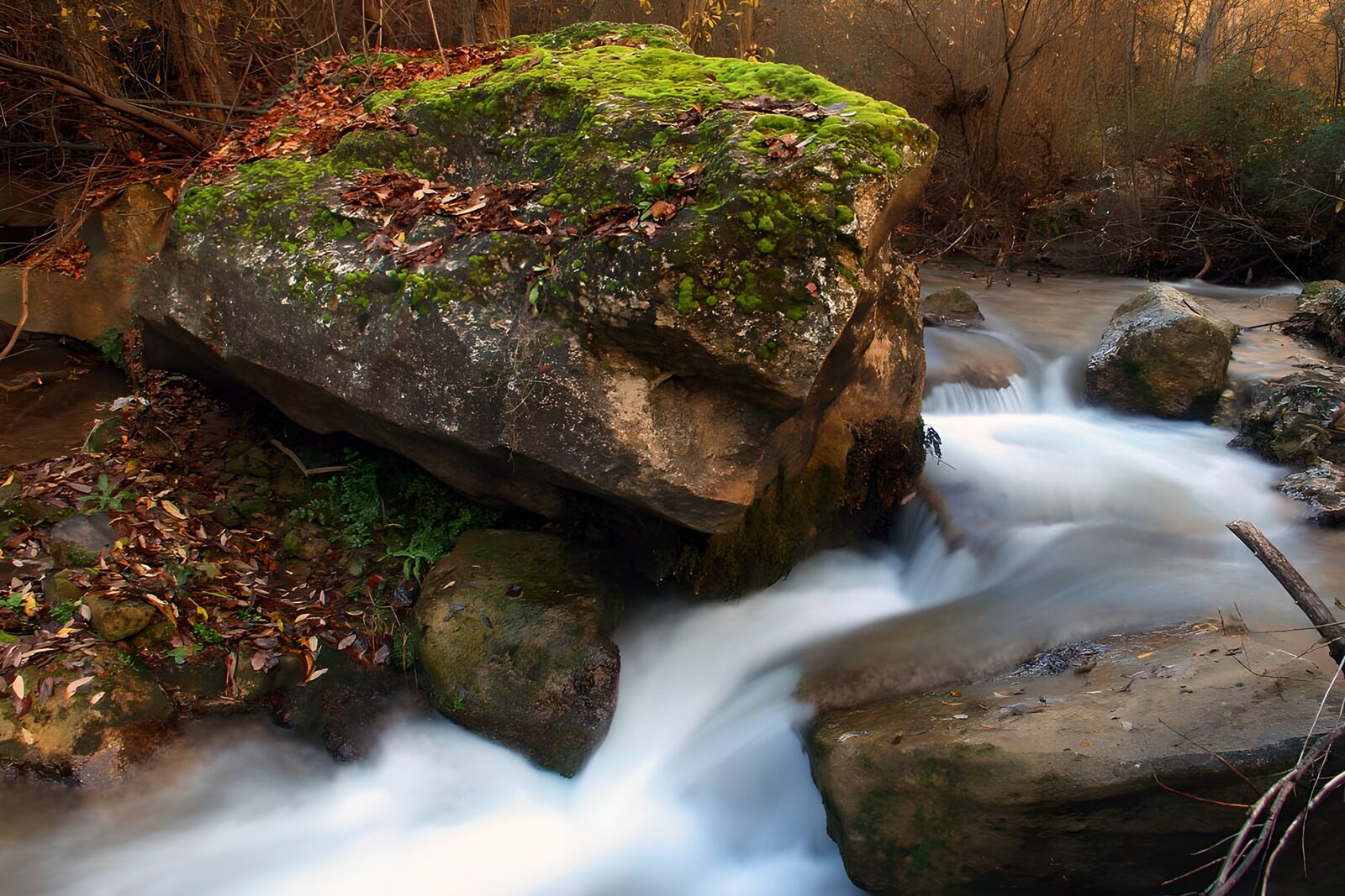 TPES87776: Arroyo de otoño entre rocas y musgo