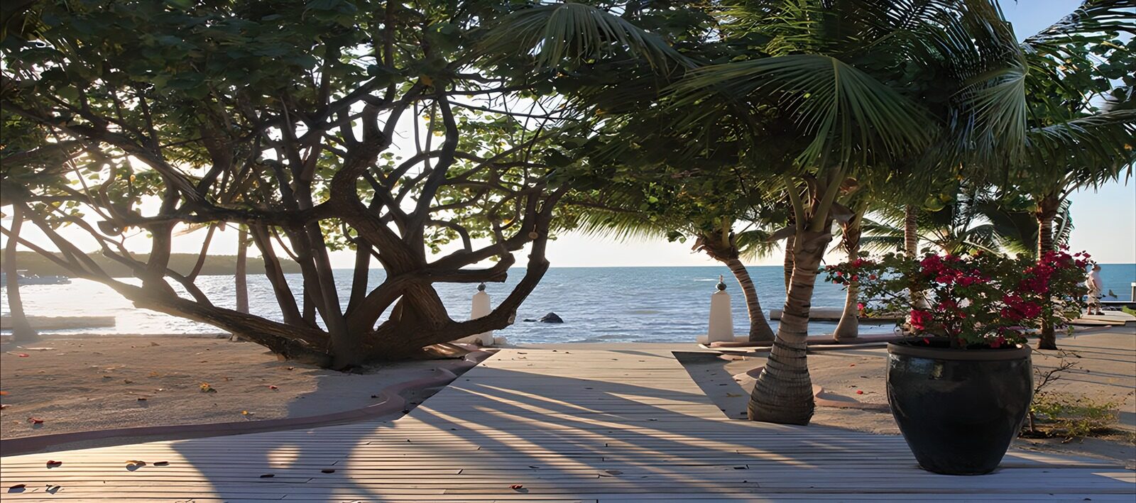 TPES49509: Pasarela entre palmeras y mar en calma