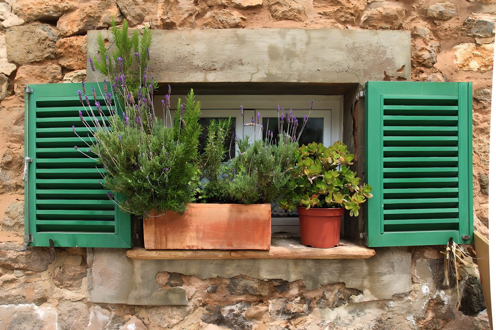 TPES81370: Ventana rústica con contraventanas verdes