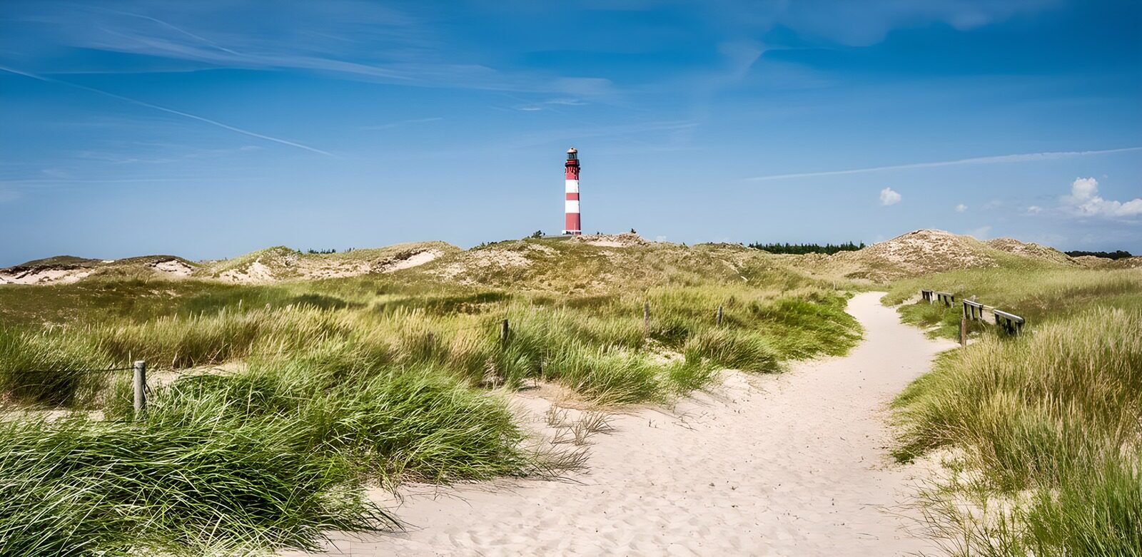 TPES29656: Sendero entre dunas hacia el faro