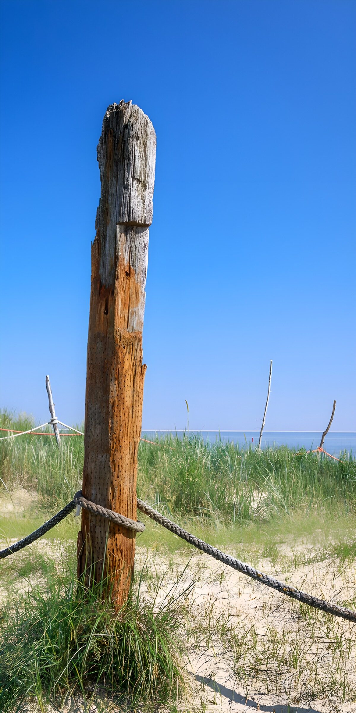 TPES39803: Poste y cuerda entre dunas al sol