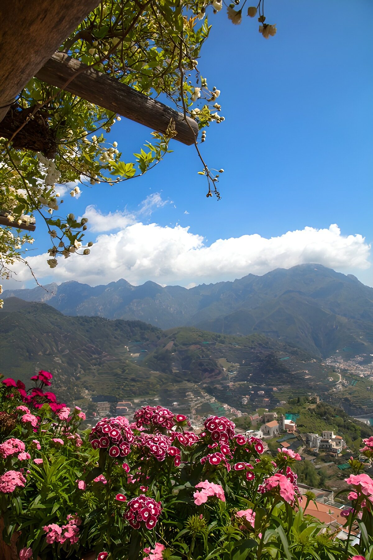 Jardín al sol con vistas a la montaña