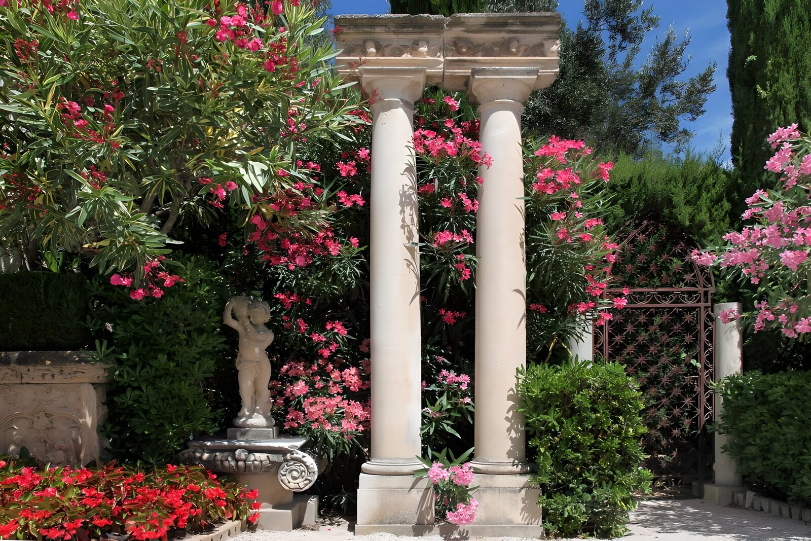 TPES73081: Columnas de piedra entre flores rosas