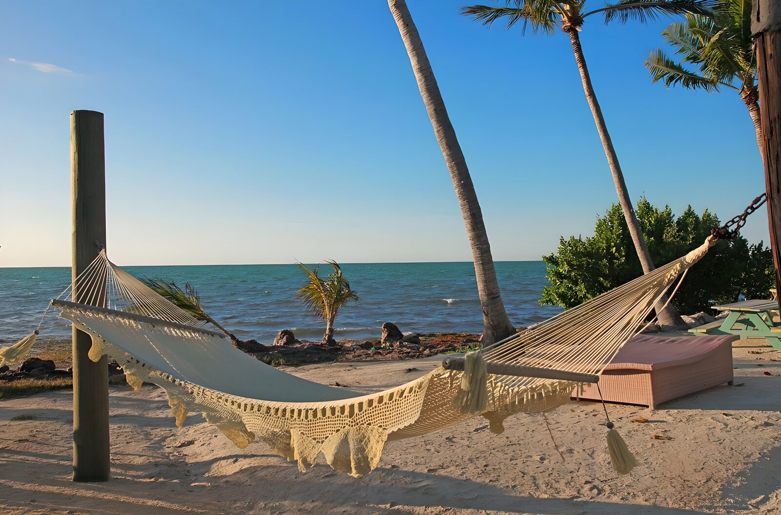 TPES88318: Hamaca entre palmeras junto al mar