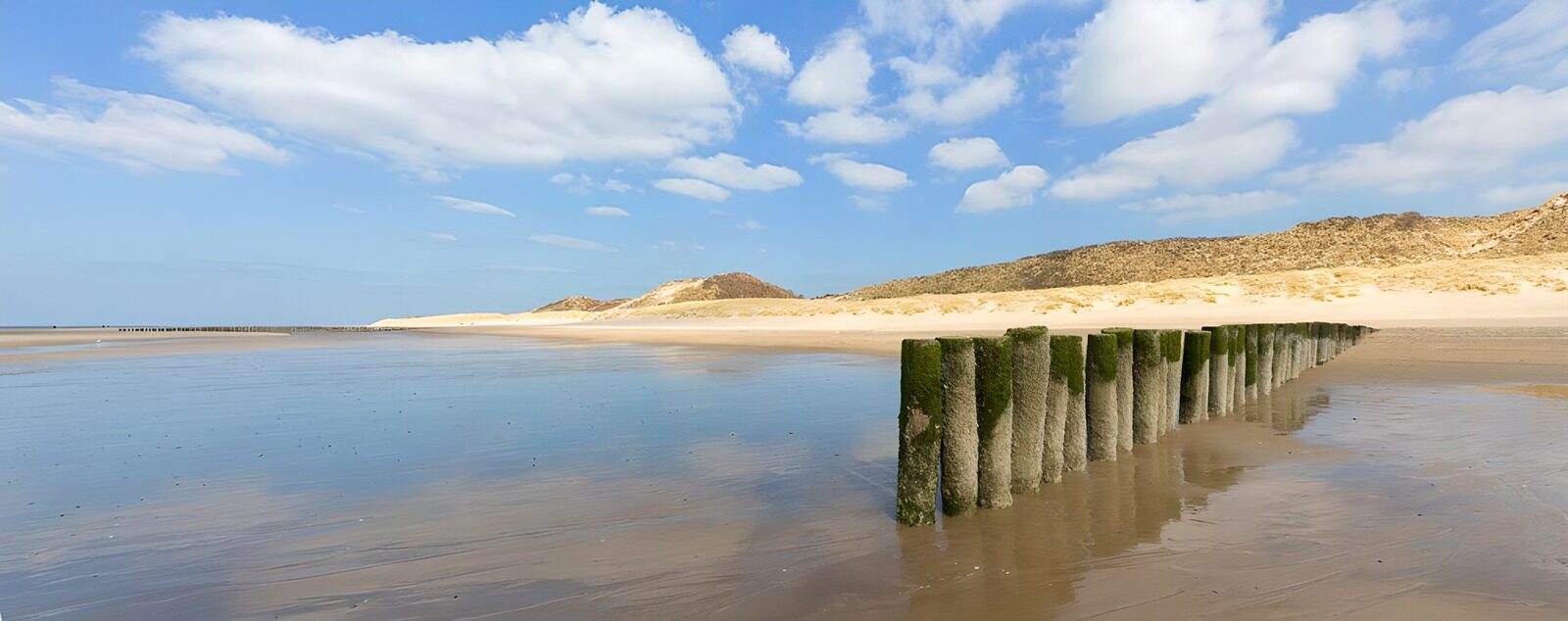 TPES15544: Playa con postes en marea baja