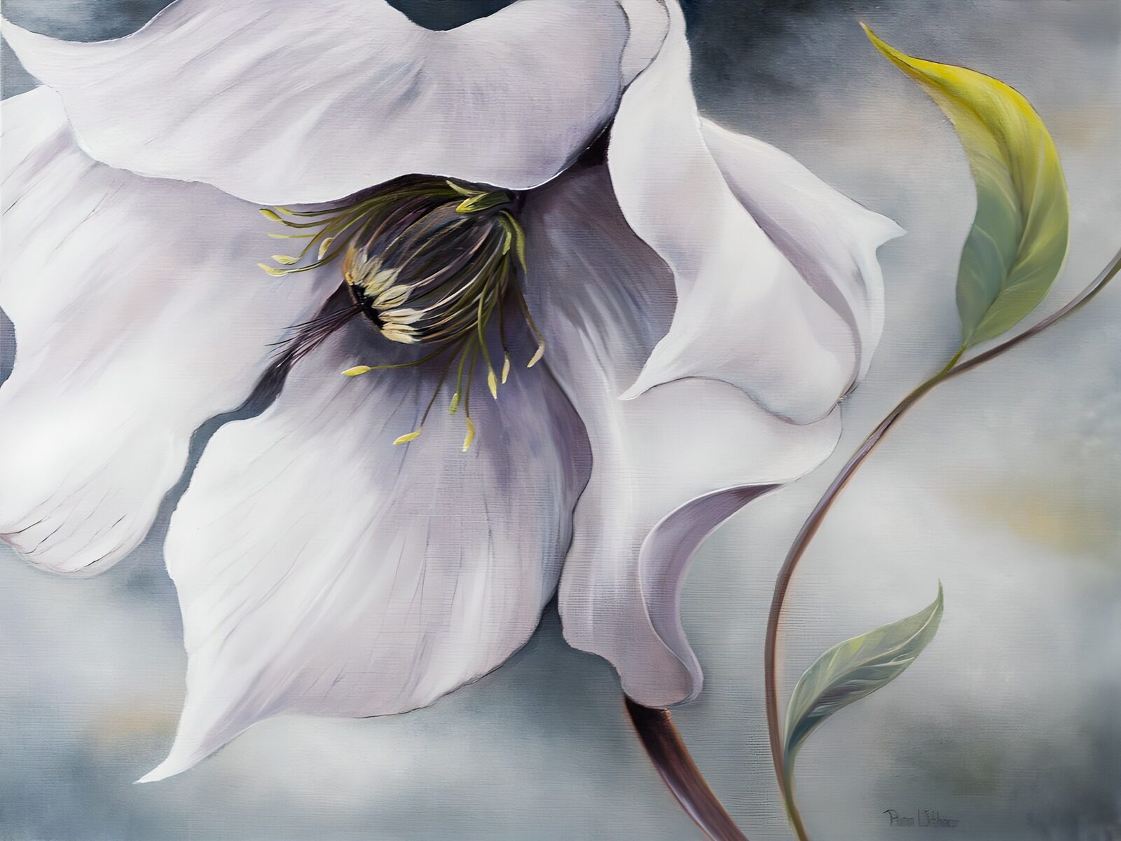 TPES46027: Flor blanca de pétalos ondulados
