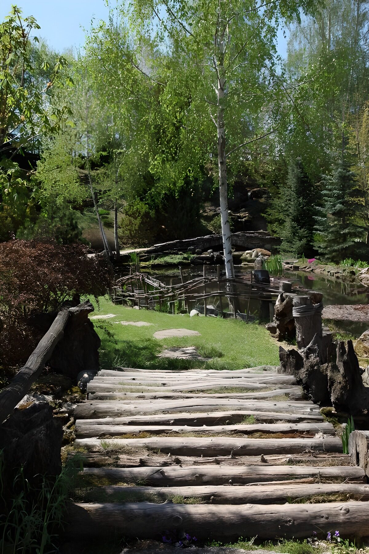 TPES44233: Pasarela de troncos entre verde y agua