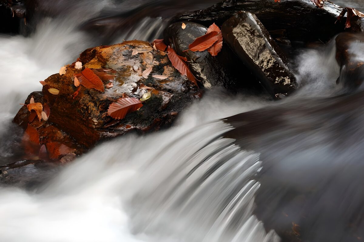 TPES25080: Rápidos entre rocas y hojas de otoño