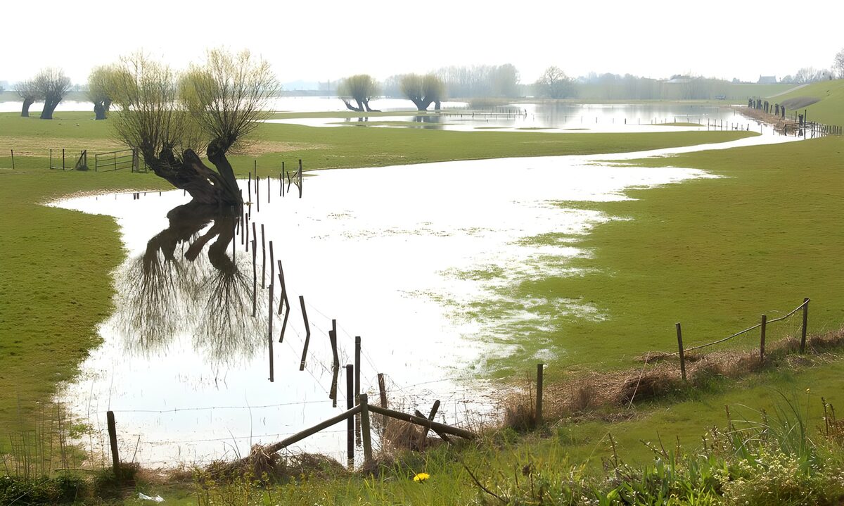 Pradera inundada con árboles y cercas