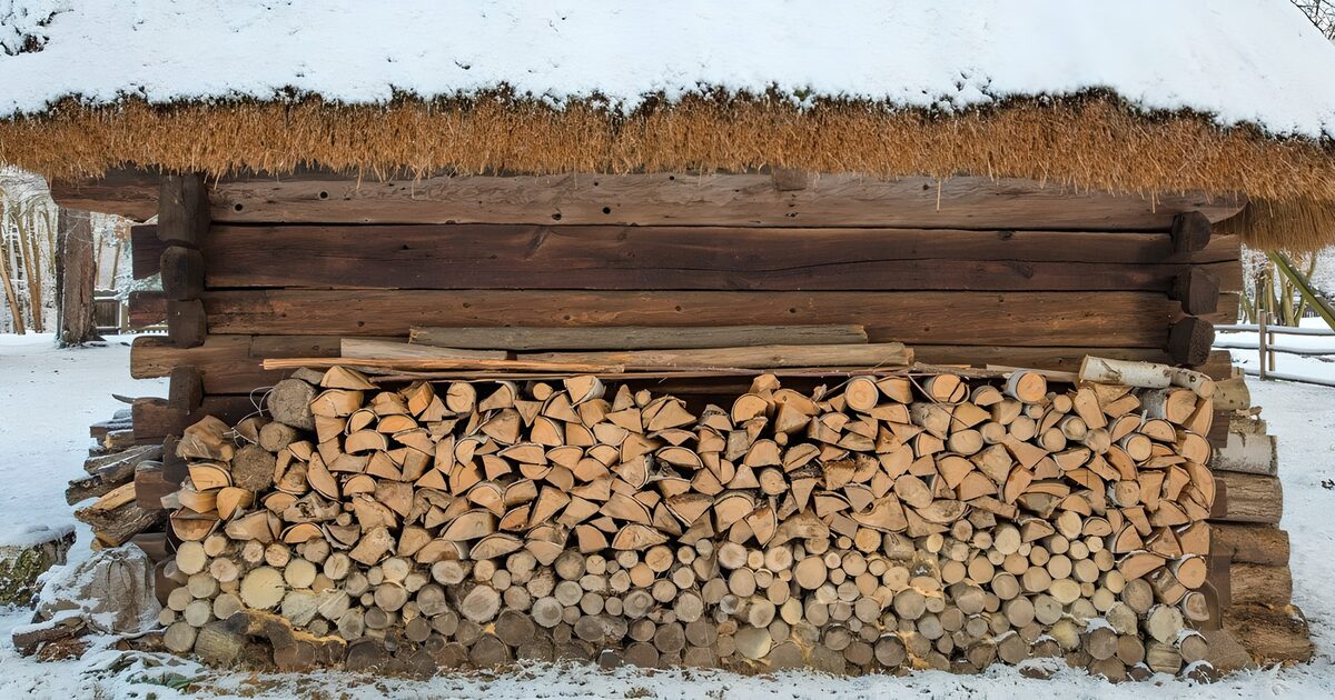 Leña apilada al abrigo de la nieve