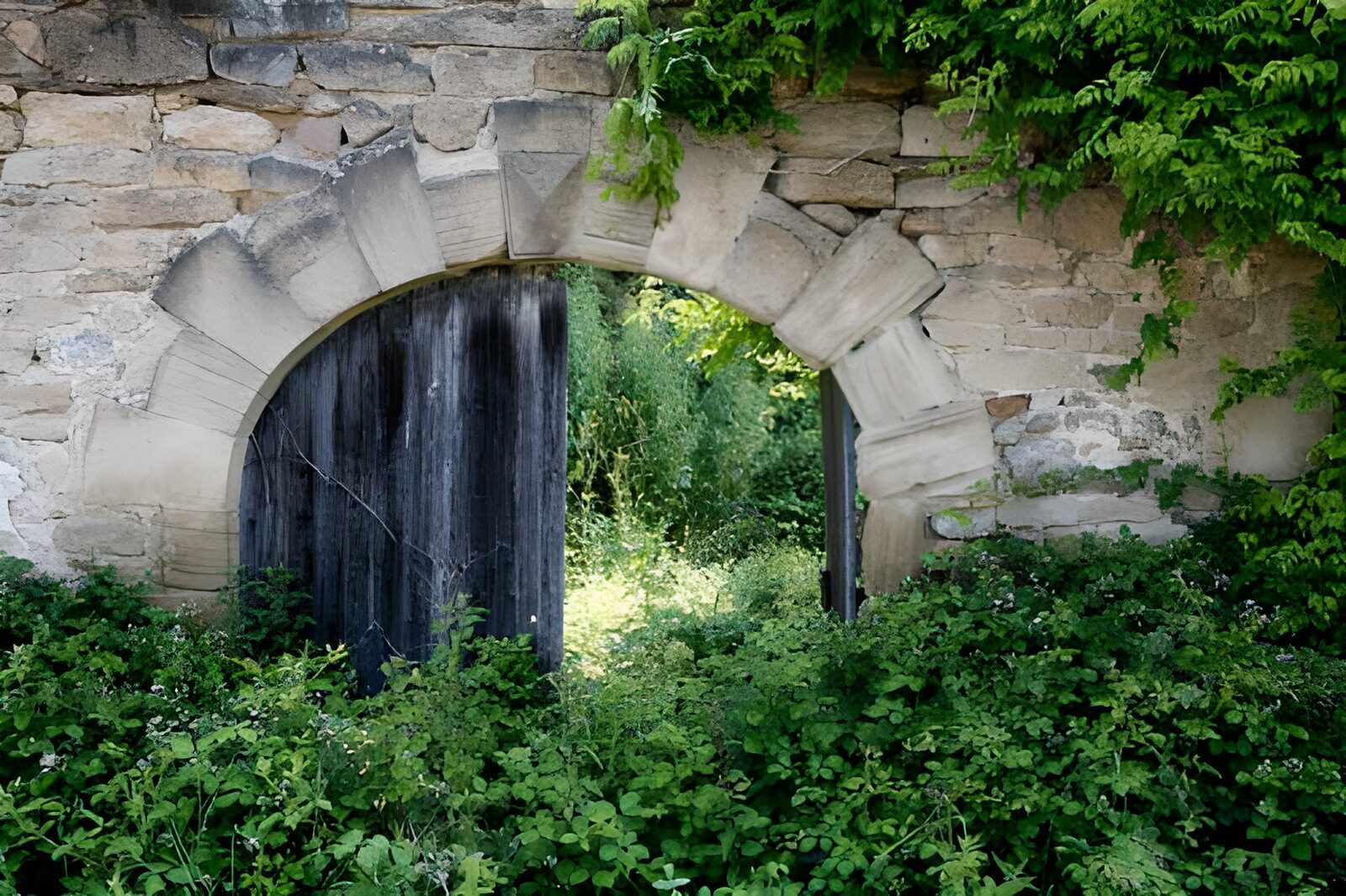 TPES44555: Arco de piedra entre la maleza