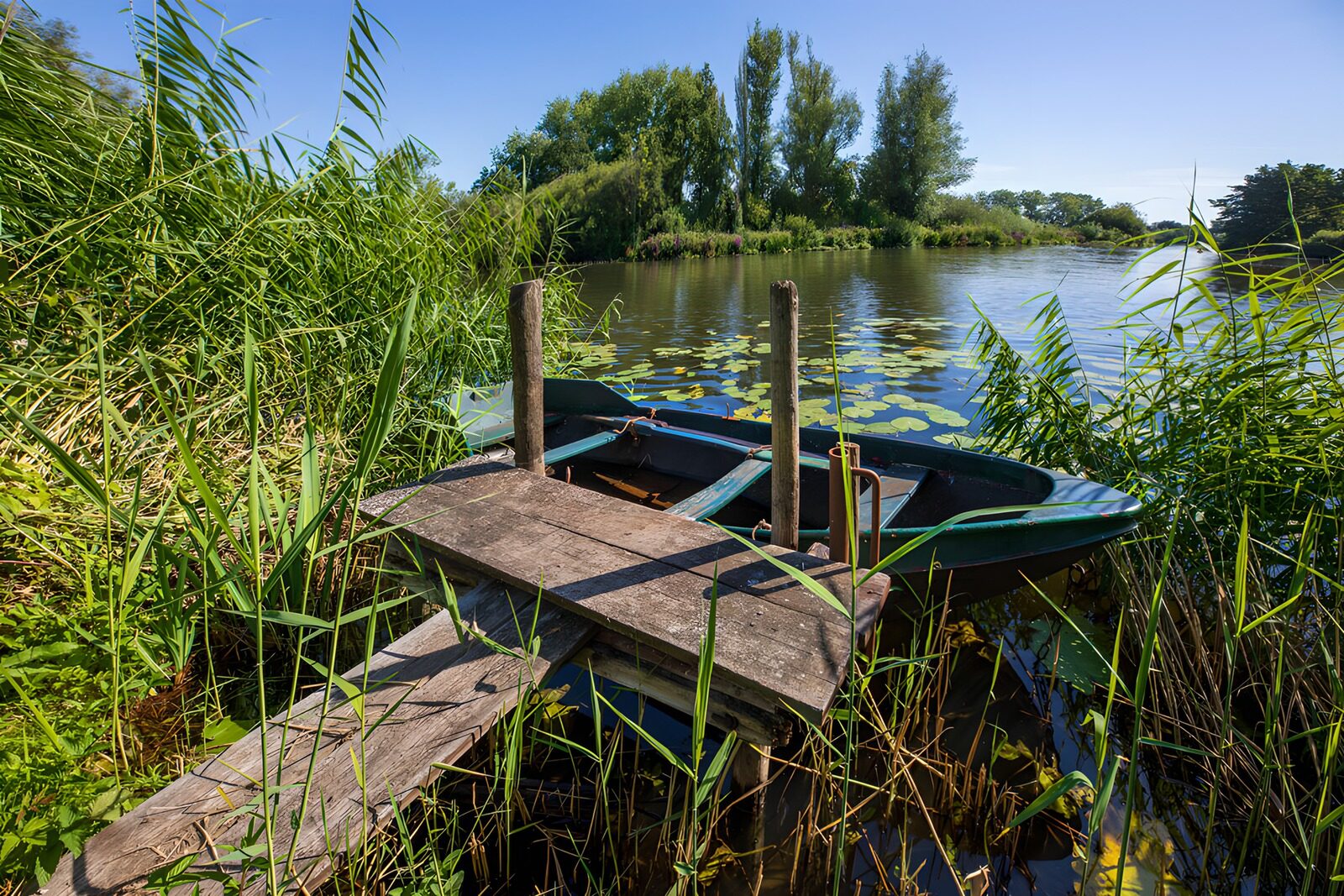 TPES99042: Barcas verdes junto al muelle de madera