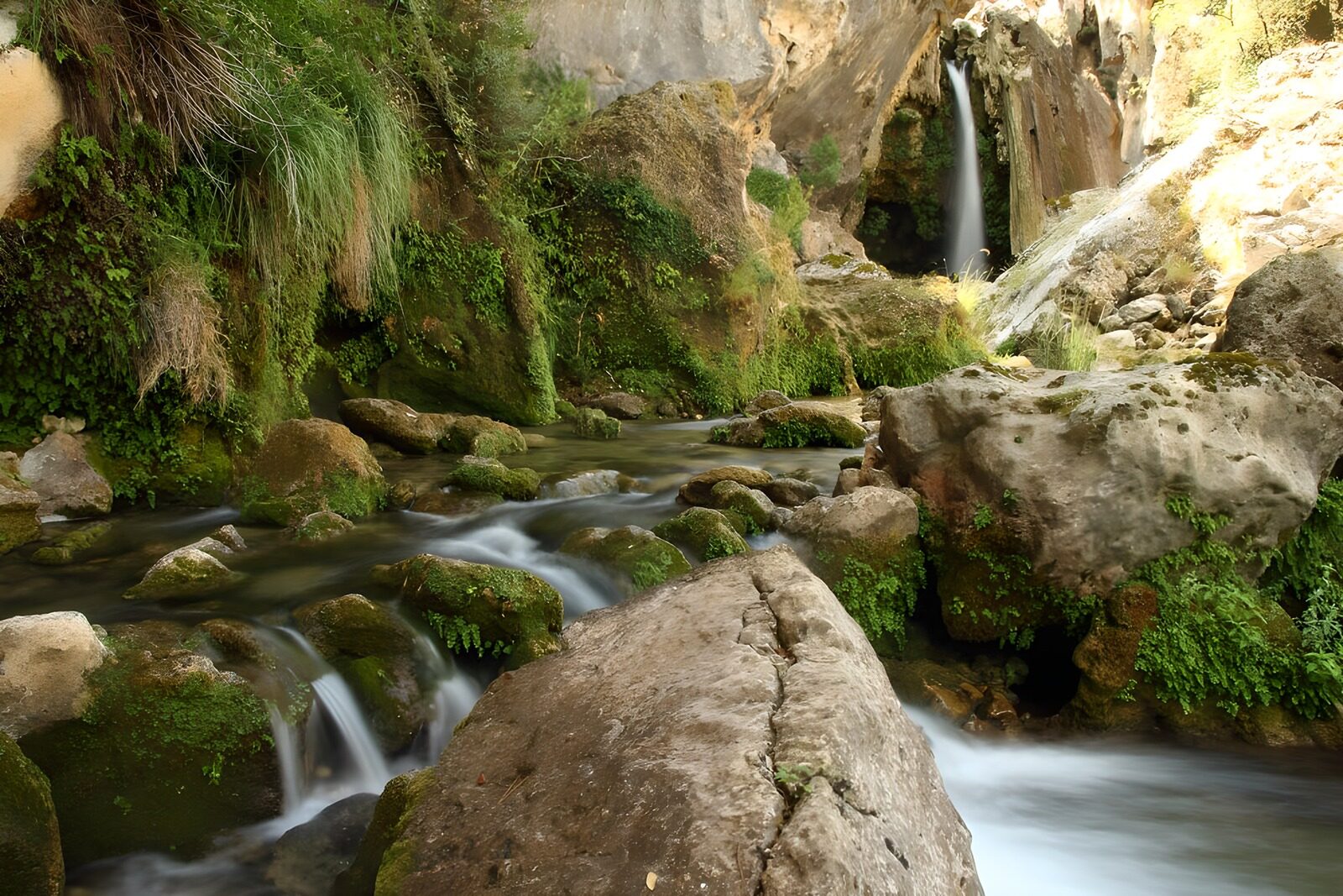 TPES27994: Cascada y arroyo entre rocas y musgo