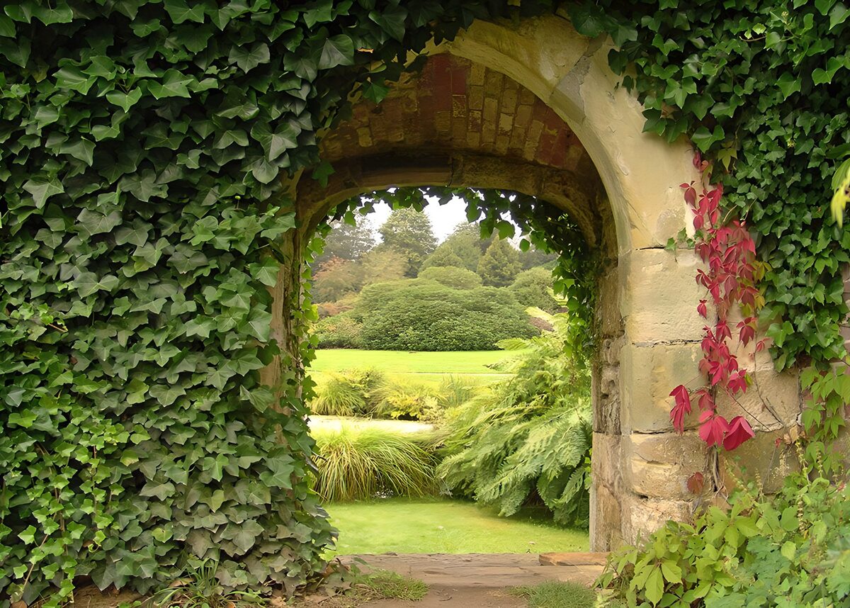 Arco de piedra entre hiedra y jardín