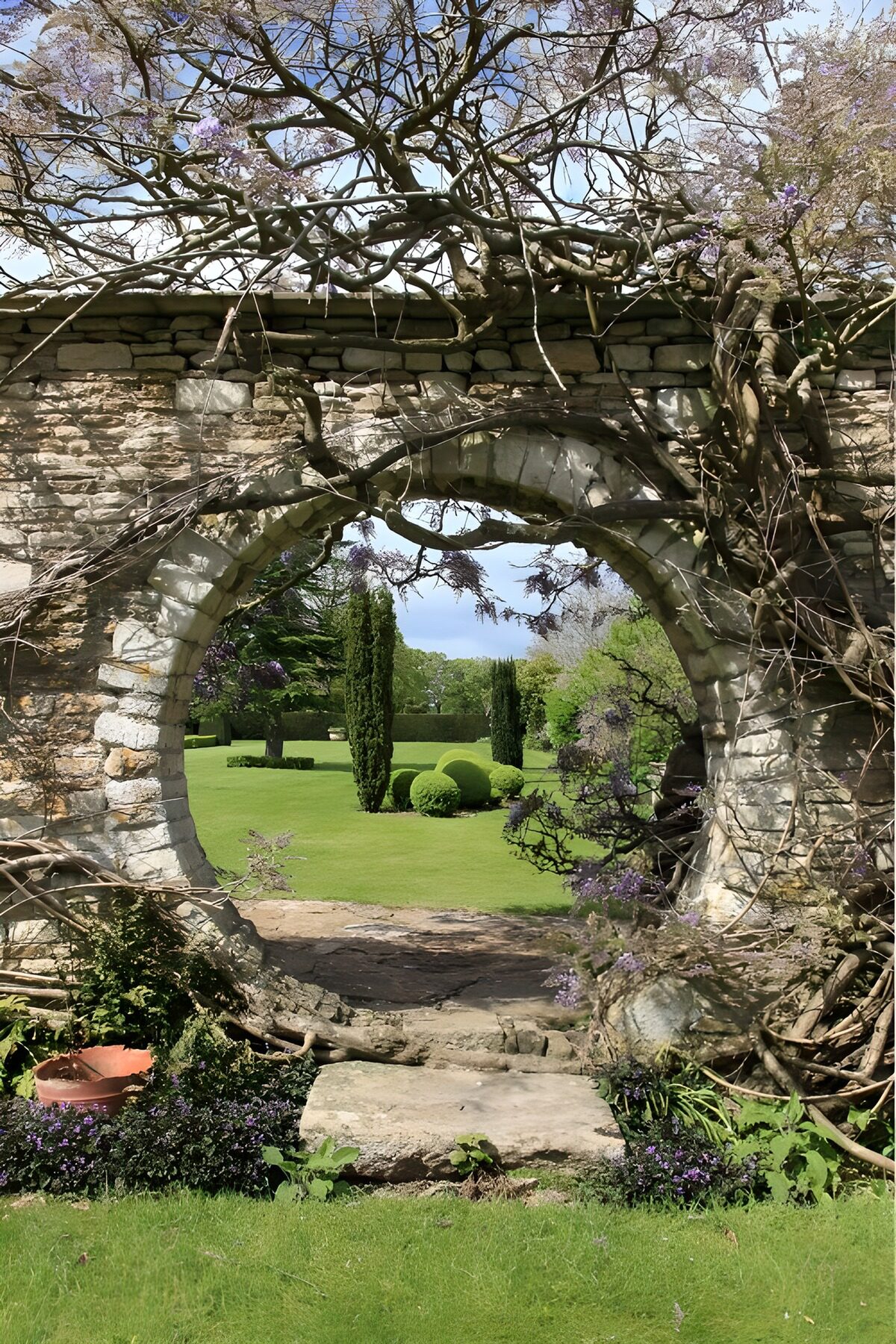 TPES50714: Un arco entre flores y sombras