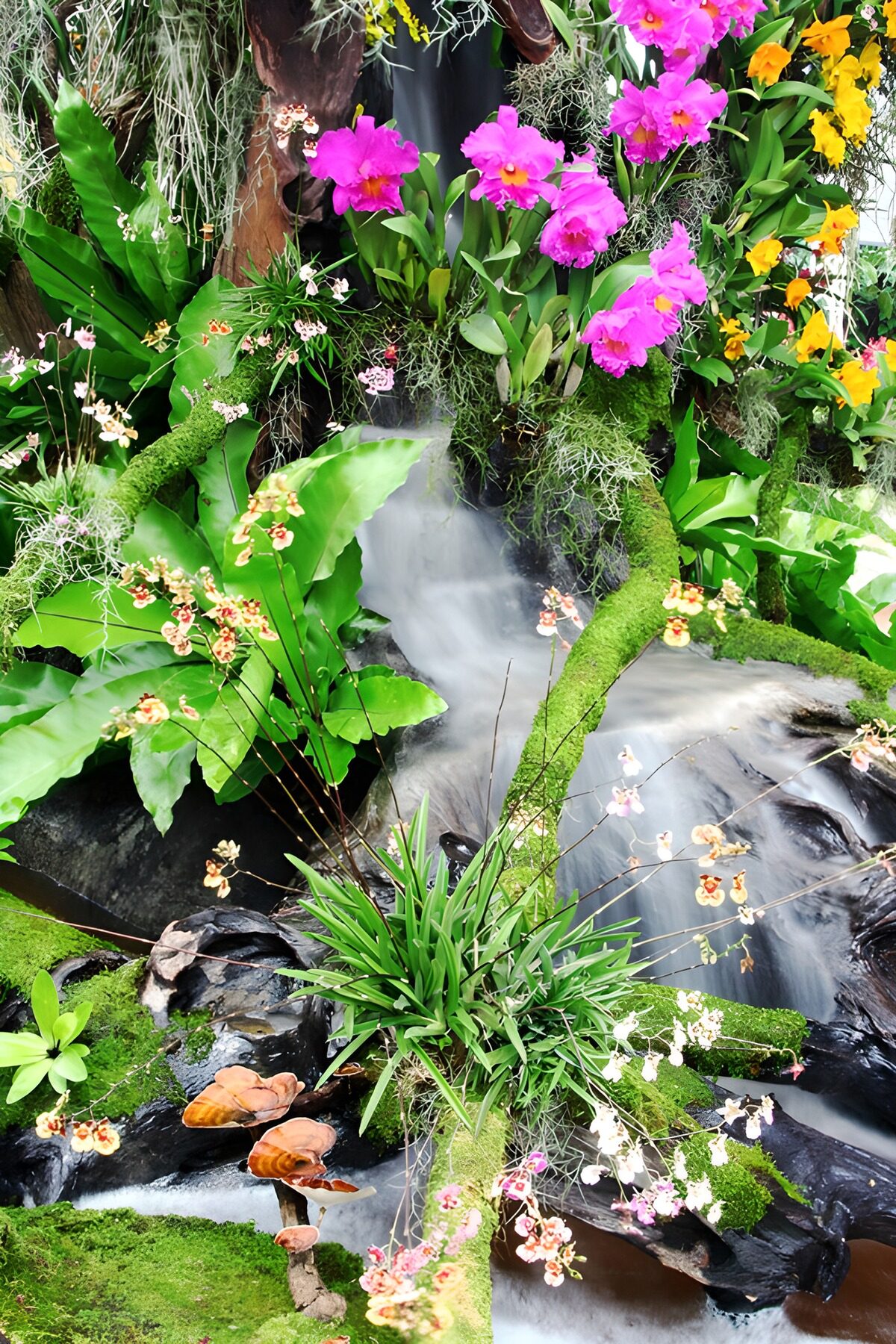 TPES34494: Orquídeas y cascada entre el musgo
