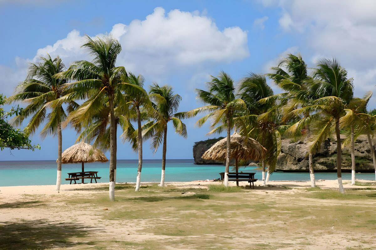 Palmeras y mesas junto al mar turquesa