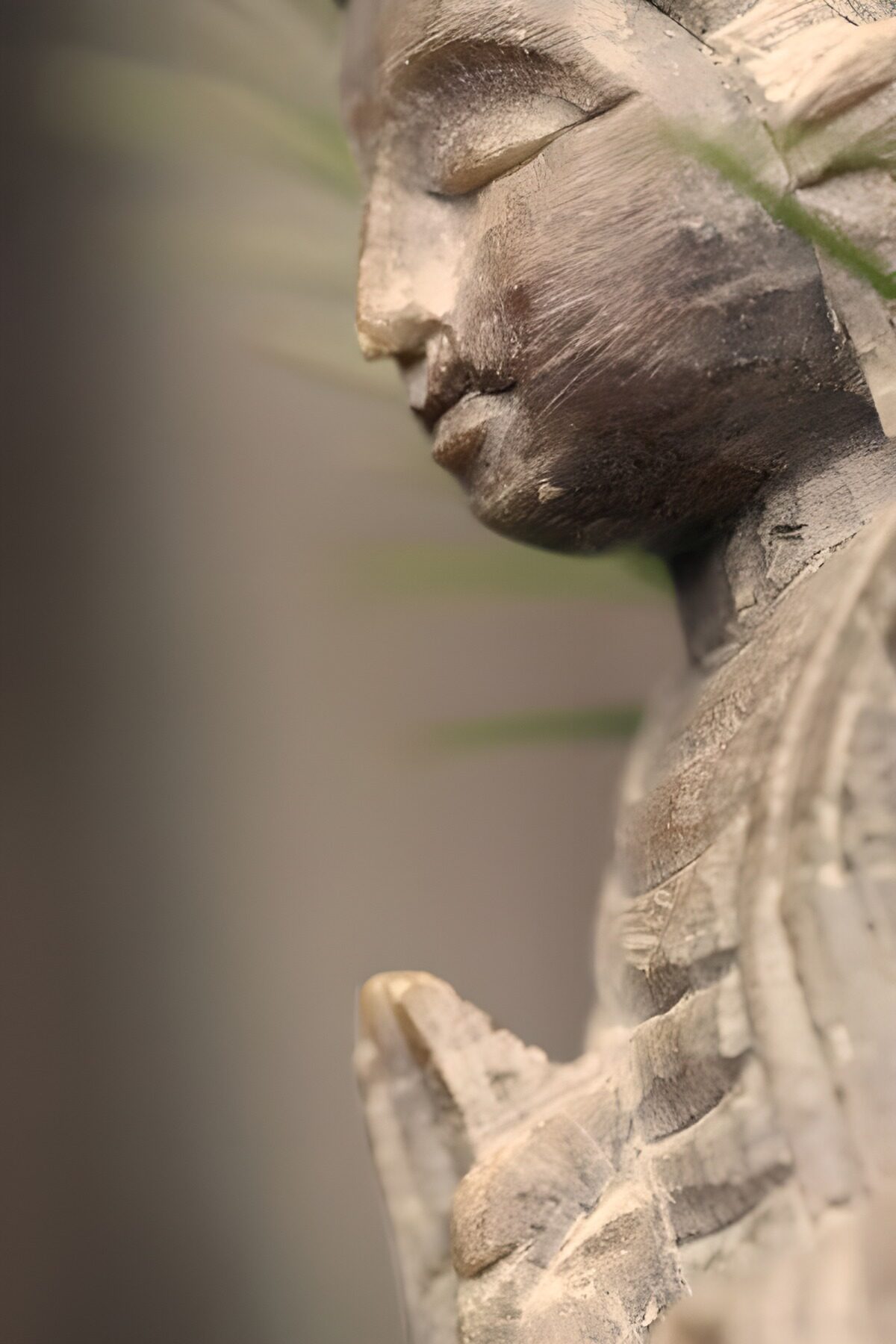 Buda de madera de perfil