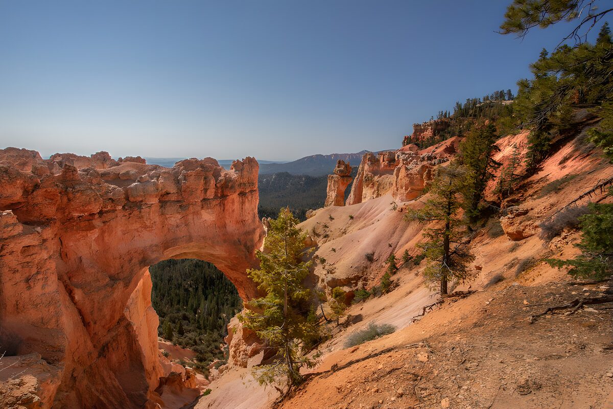 Arco de roca roja sobre el bosque
