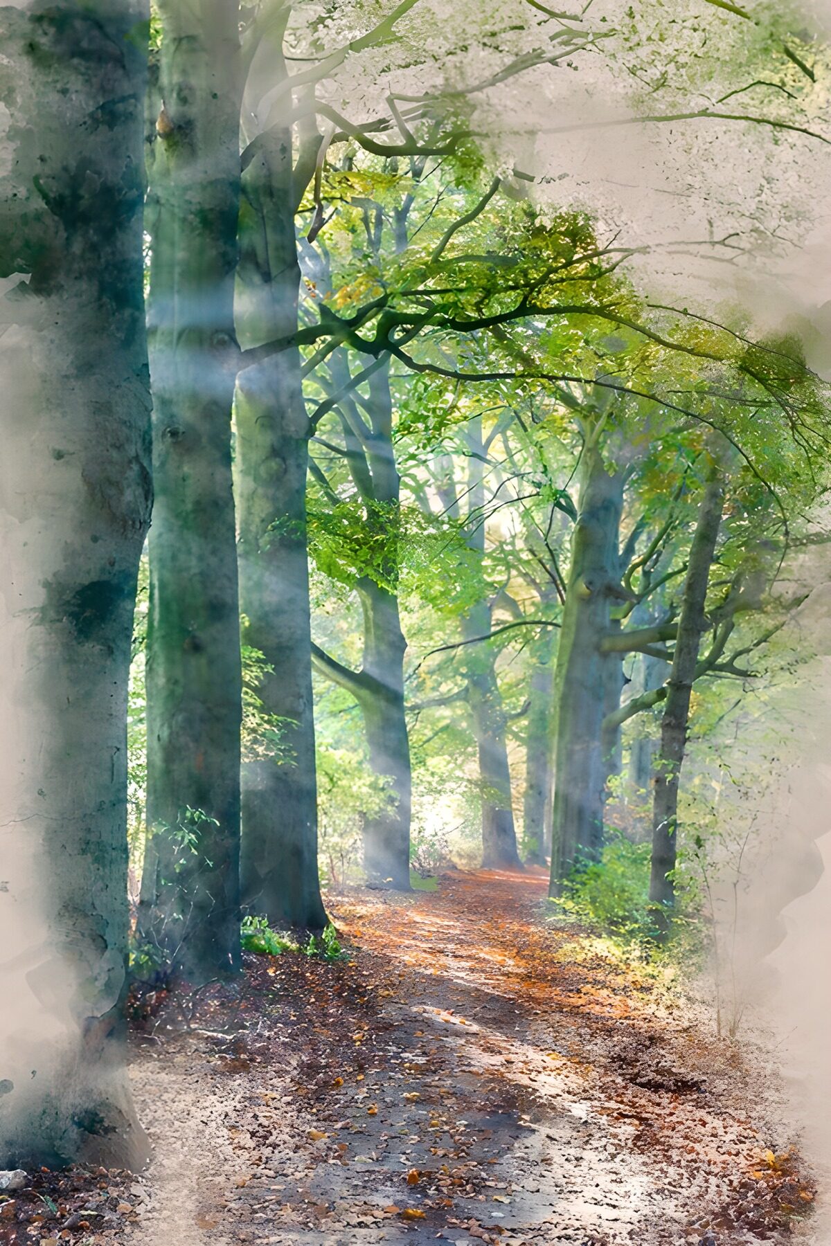 Entre los árboles, la luz encuentra camino