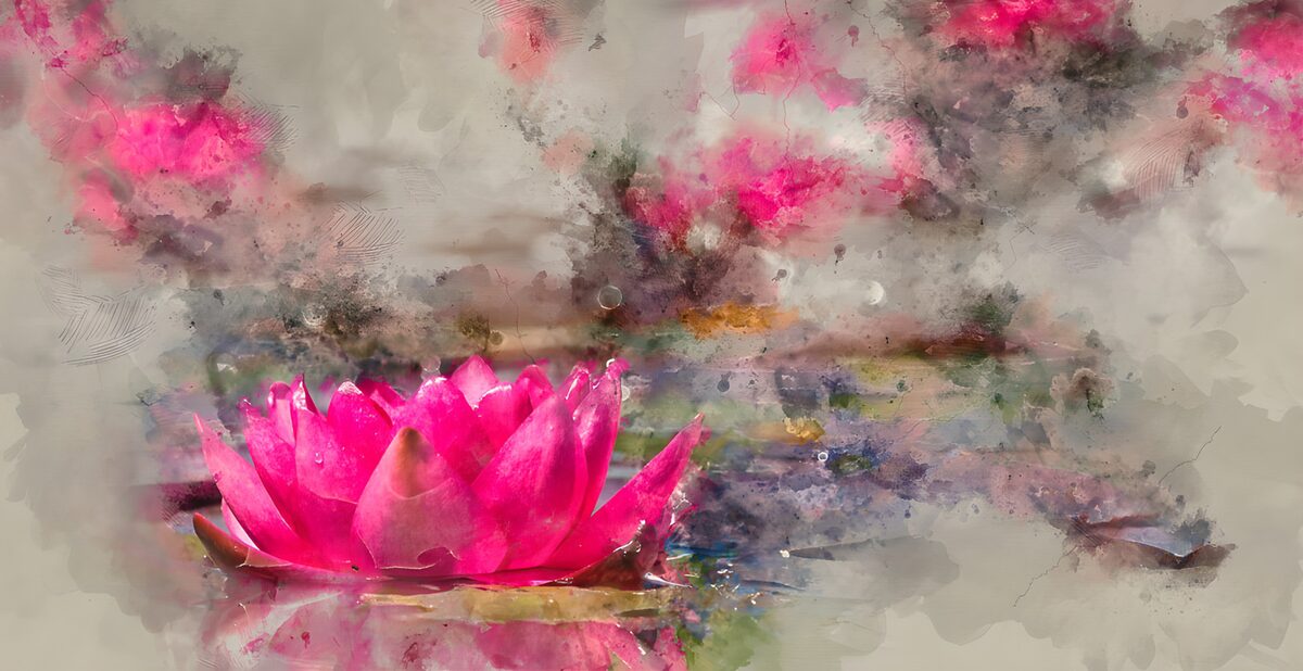 Flor rosa sobre un estanque abstracto
