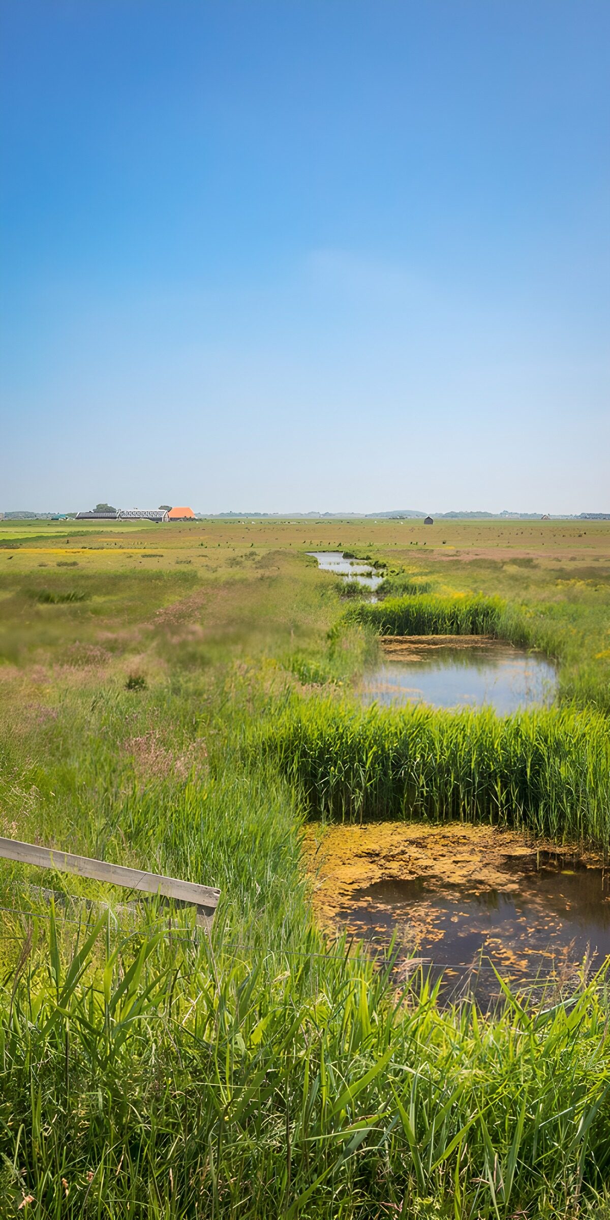 TPES24388: Pradera y canal bajo un cielo azul