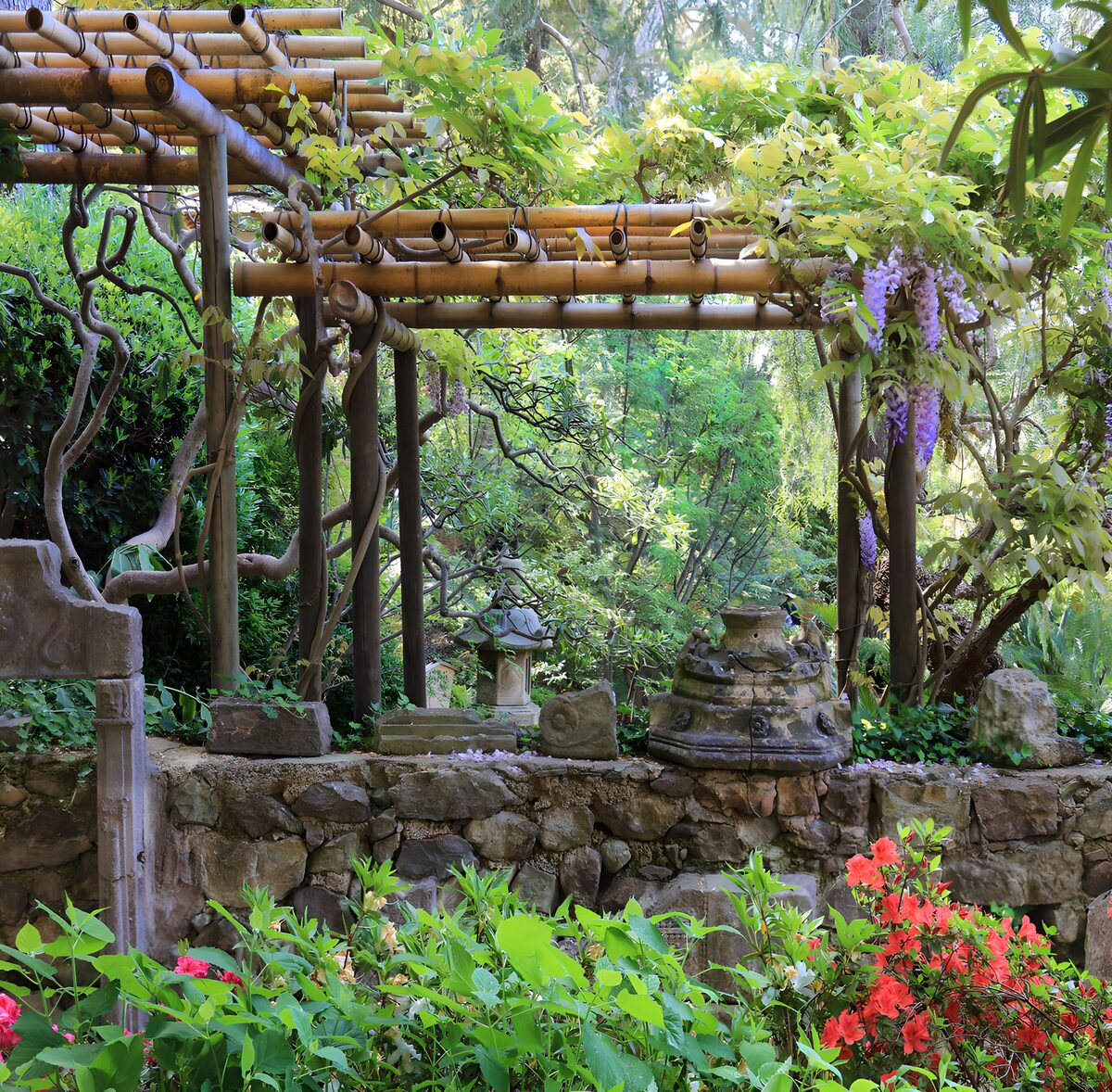 TPES85138: Pérgola de bambú en un jardín frondoso