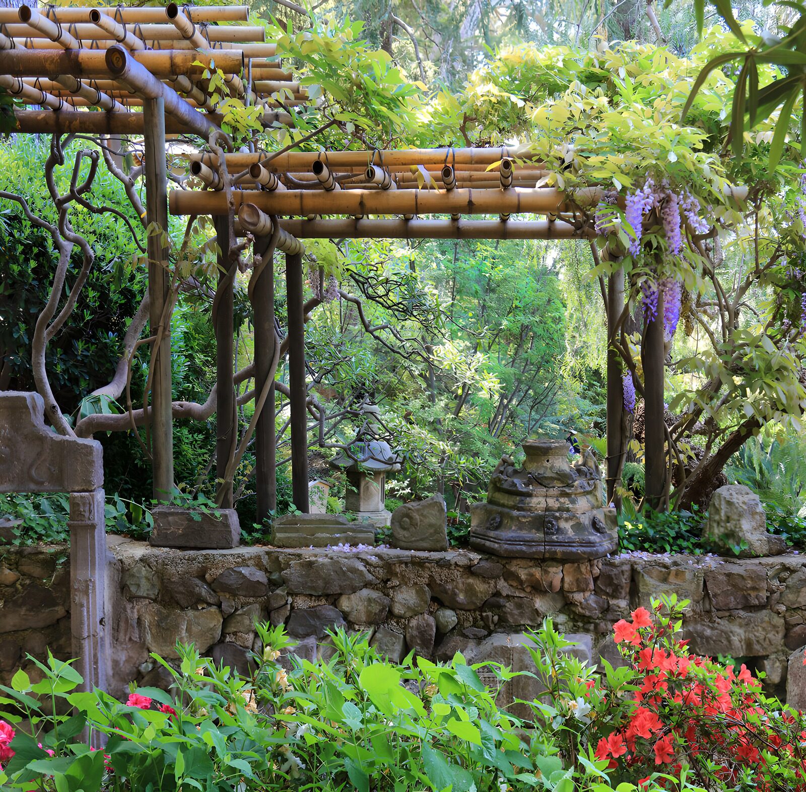 TPES85138: Pérgola de bambú en un jardín frondoso