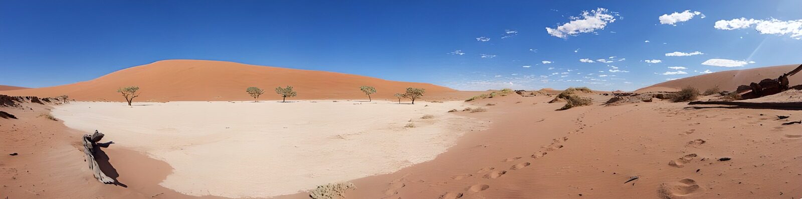 TPES48573: Dunas naranjas y árboles bajo las nubes
