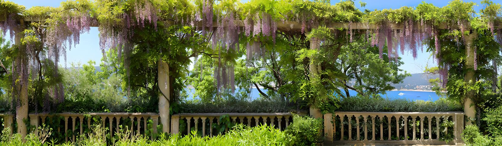 TPES61211: Pérgola de glicinias con vistas al mar