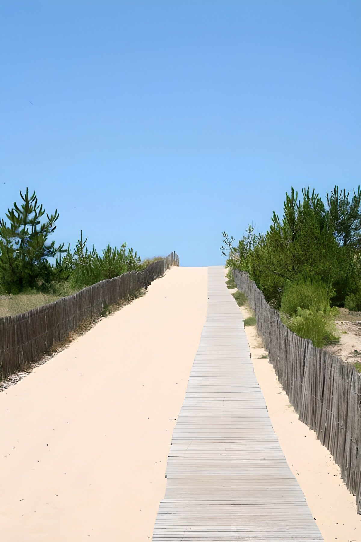 Pasarela entre dunas bajo el cielo azul